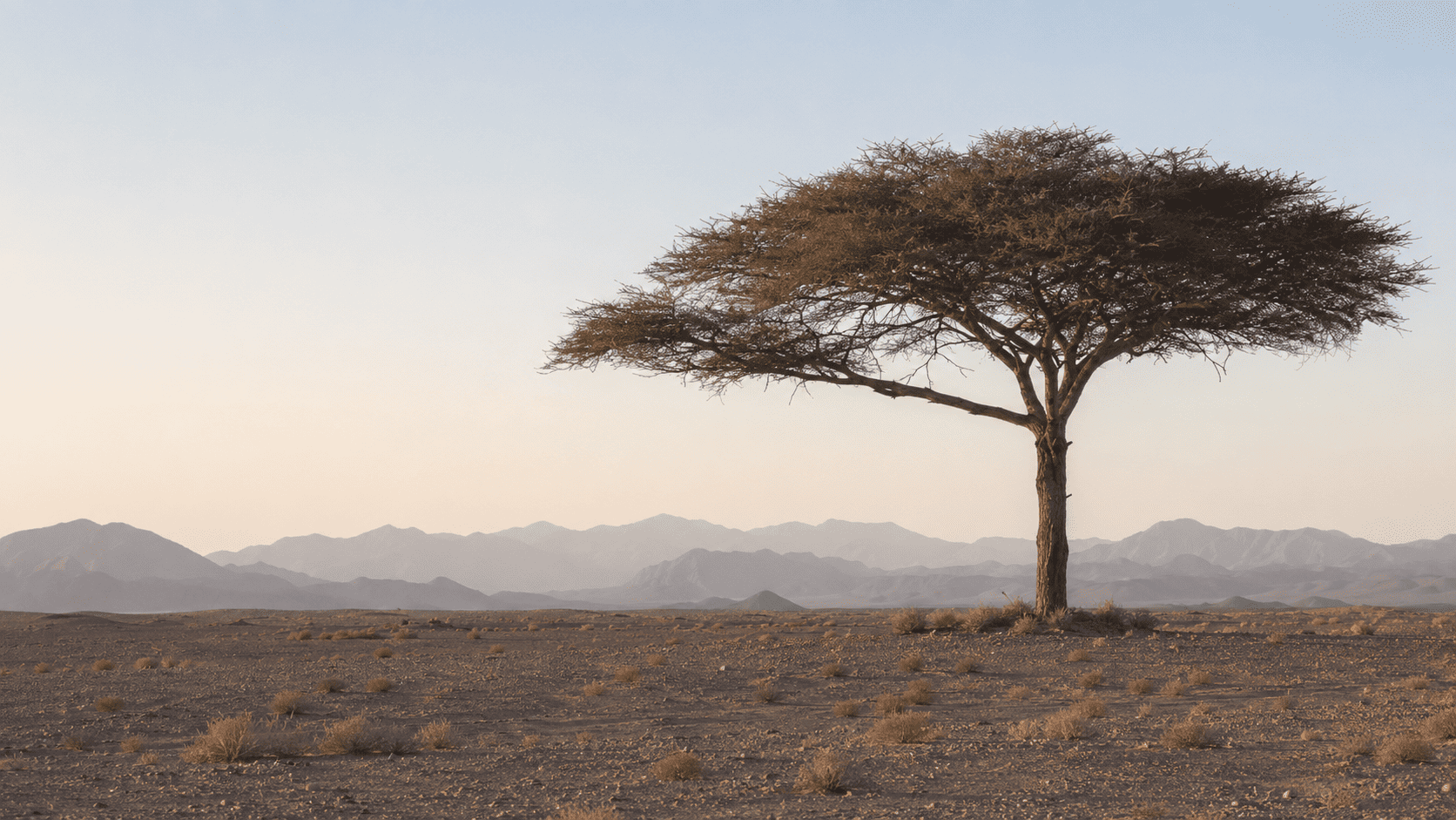 Founder Dependency – The Balance Sheet No One Reports