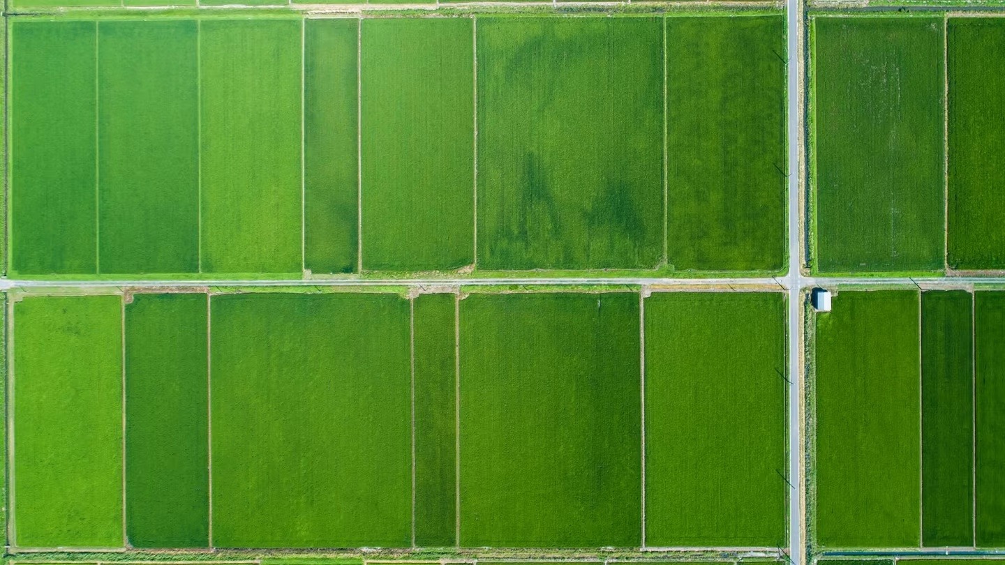 Food & Agriculture